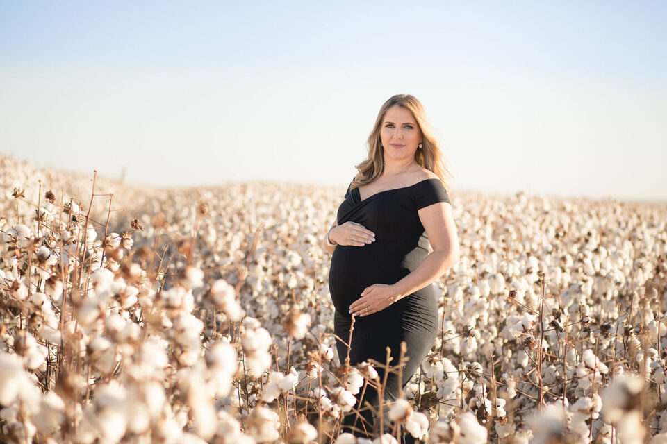 Campo de Algodão